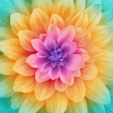 Dream Big Digital collection P4389H-181