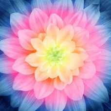 Dream Big Digital collection P4389H-684