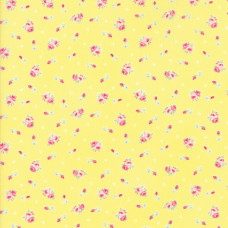 First Romance 8401-12