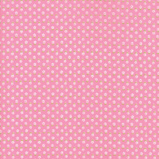 First Romance 8403-14