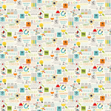 Little Genius 21532-11