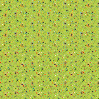 Little Genius 21533-74