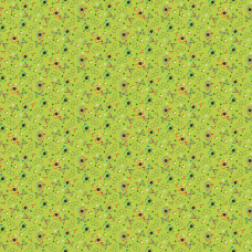 Little Genius 21533-74