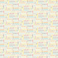 Little Genius 21534-11