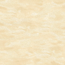 Surf’s Up 21549-11