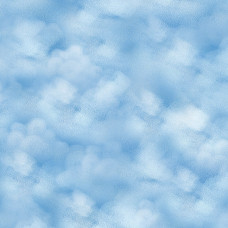 Surf’s Up 21550-42